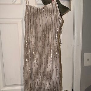 Trixxi Cream and Silver Sequin Dress